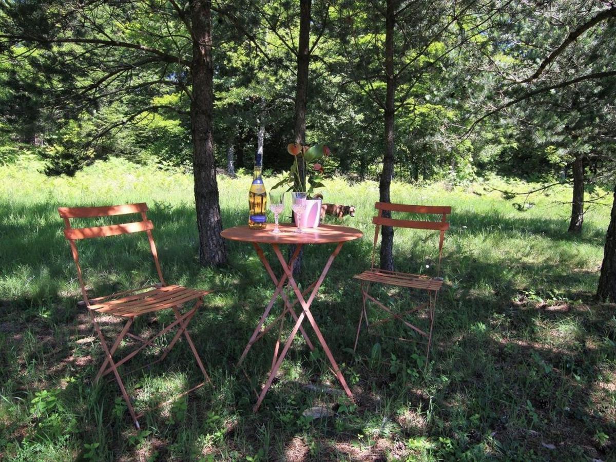 Gite Nature Au Chambon-Sur-Lignon: Terrasse, Wifi, Proche Activites Et Commerces - Fr-1-582-137 Le Chambon-sur-Lignon Kültér fotó