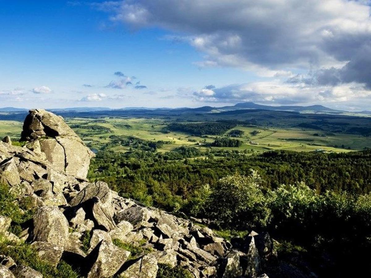 Gite Nature Au Chambon-Sur-Lignon: Terrasse, Wifi, Proche Activites Et Commerces - Fr-1-582-137 Le Chambon-sur-Lignon Kültér fotó