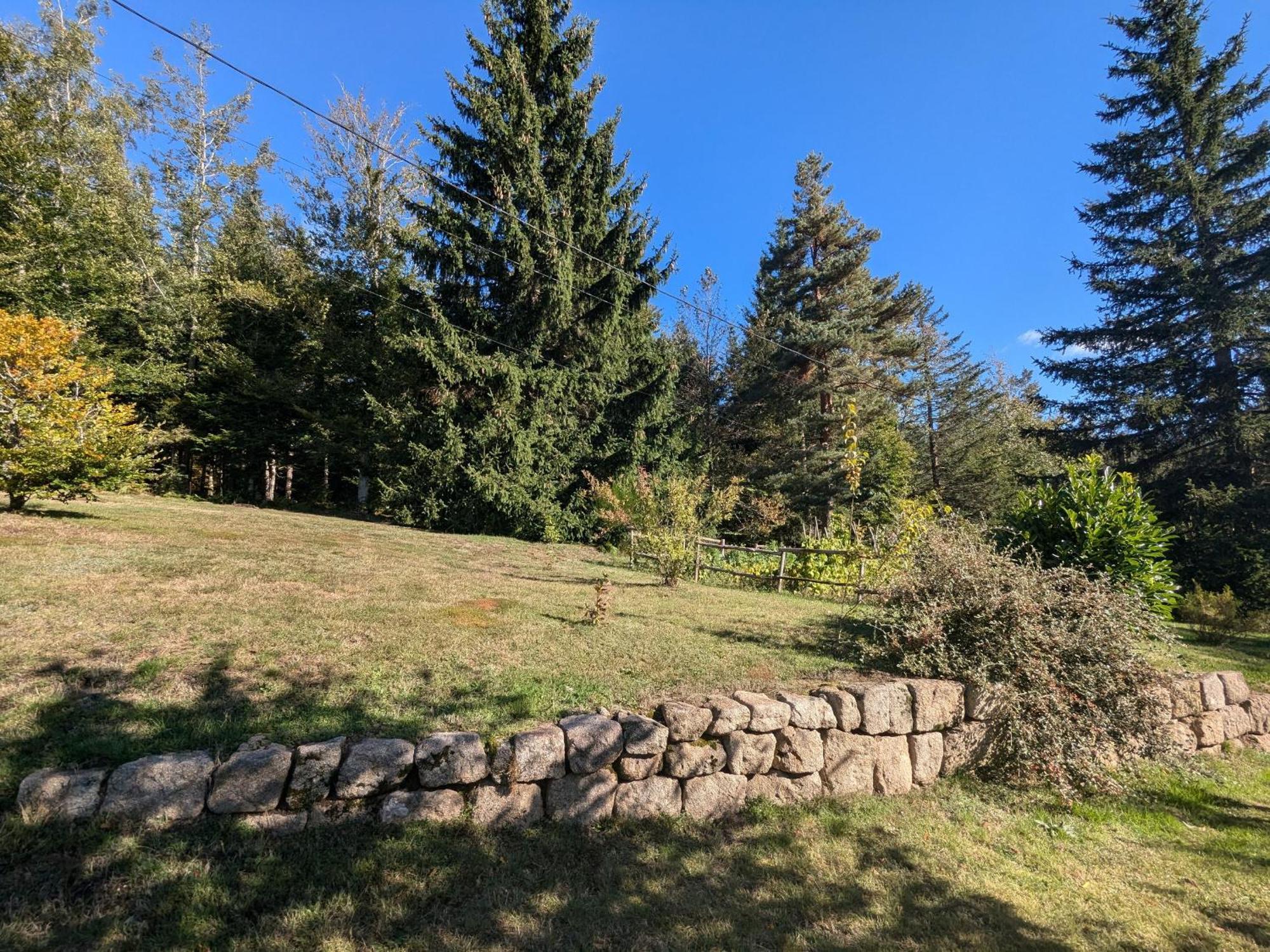Gite Nature Au Chambon-Sur-Lignon: Terrasse, Wifi, Proche Activites Et Commerces - Fr-1-582-137 Le Chambon-sur-Lignon Kültér fotó